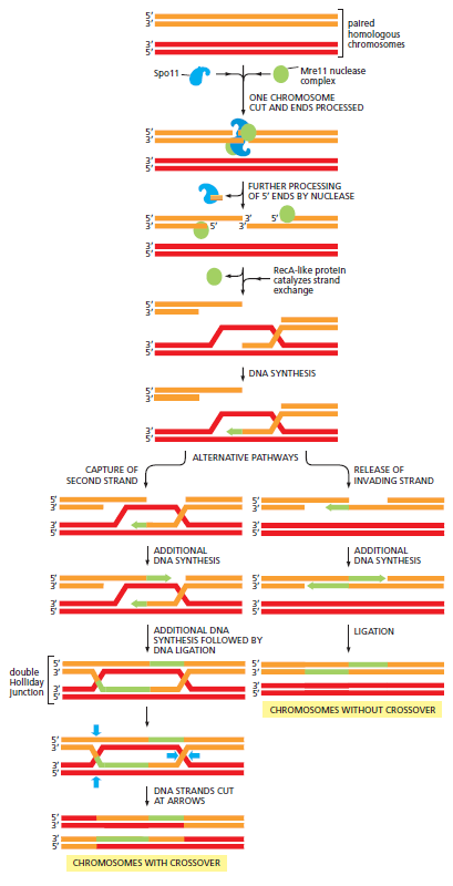 Figure 5-54.png